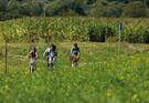 Ciclisti nelle Valli Giudicarie Ciclisti nelle Valli Giudicarie