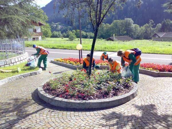 Lavoratori progetti Intervento 19  in Giudicarie