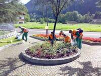 Lavoratori progetti Intervento 19  in Giudicarie