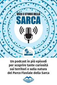 Immagine decorativa Immagine decorativa