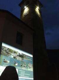 Immagine decorativa