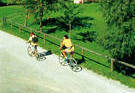 Paganella Bike Paganella Bike