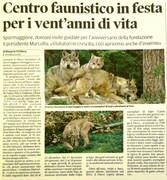 Immagine decorativa