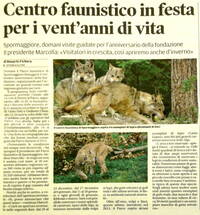 Immagine decorativa Immagine decorativa