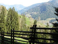 Immagine decorativa