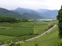 Immagine decorativa