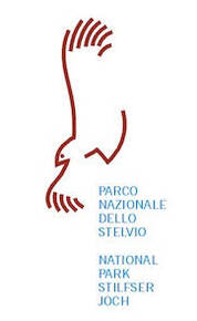 Immagine decorativa