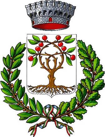Immagine decorativa