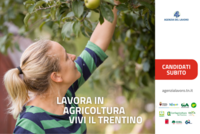 Immagine decorativa