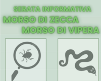 Immagine decorativa
