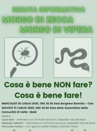 Immagine decorativa