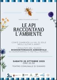 Immagine decorativa