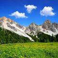 Immagine decorativa per il contenuto PNRR Green Community