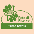 Immagine decorativa per il contenuto Rete di riserve del Fiume Brenta