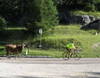 Giro degli Altipiani di Lavarone e Luserna Giro degli Altipiani di Lavarone e Luserna
