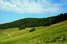 malga-stramaiolo-veduta malga-stramaiolo-veduta