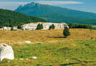 Vezzena Asiago Vezzena Vezzena Asiago Vezzena