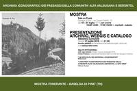 Immagine decorativa