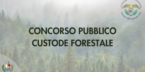 Immagine decorativa per il contenuto CONCORSO CUSTODE FORESTALE  - GRADUATORIA FINALE DI MERITO 