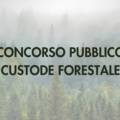 Immagine decorativa per il contenuto CONCORSO CUSTODE FORESTALE  - GRADUATORIA FINALE DI MERITO 