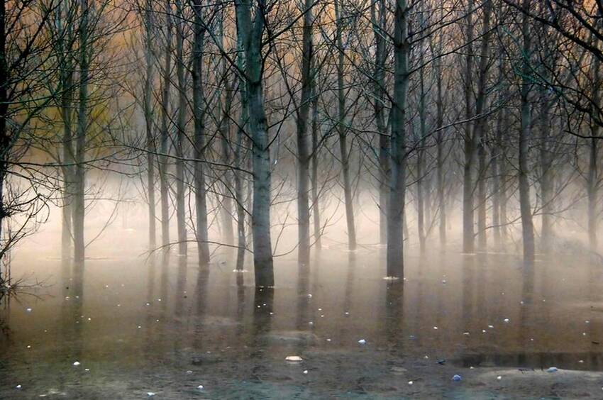Foto di Carmen Buffa - riflessi al mattino