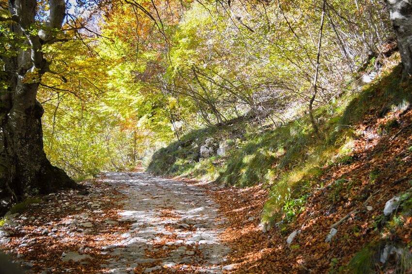 Foto di Miori Lorenzo - Strada di Gazza