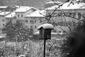 Foto di Valentina Cristelli - Vezzano sotto la neve
