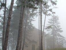 Alberi-chiesa-nebbia-autunno-Foto-di-Ivo-Povinelli_gallerythumbnail