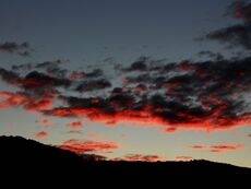 Mattino-a-Terlago-Foto-di-Federica-Gentili_gallerythumbnail