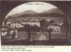 Immagine decorativa