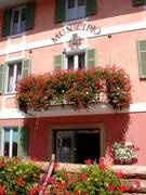 Immagine decorativa