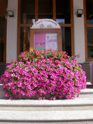 Immagine decorativa