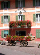 Immagine decorativa
