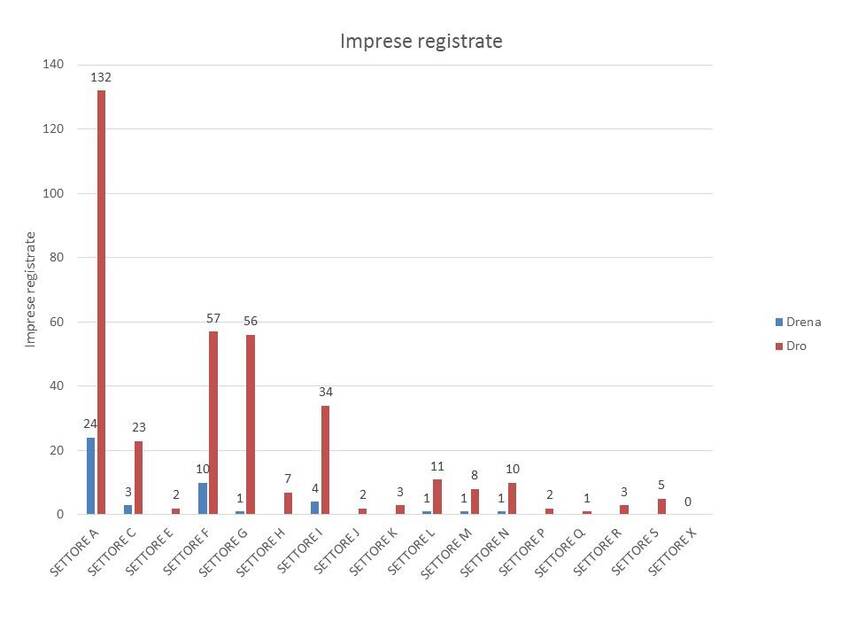 4. Andamento delle imprese nel territorio dei Comuni di Drena e Dro