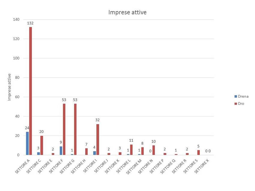 5. Imprese registrate nel territorio dei Comuni di Drena e Dro