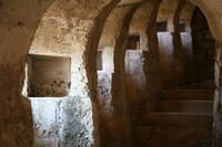 Immagine decorativa