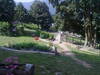 Immagine decorativa