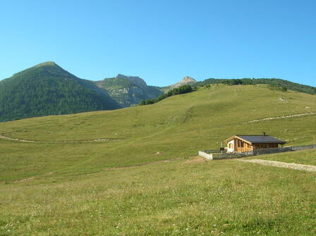 Immagine decorativa