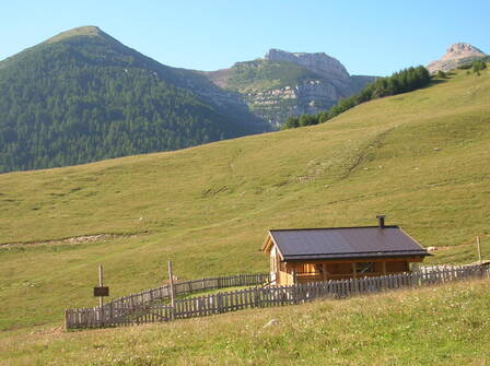 Immagine decorativa