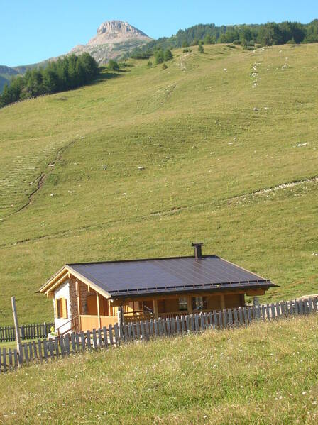 Immagine decorativa
