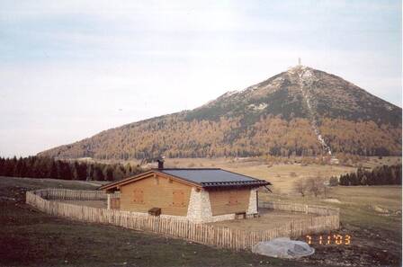 Immagine decorativa