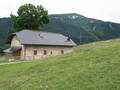 Immagine decorativa