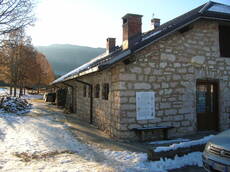 Immagine decorativa