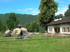 Immagine decorativa