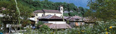 Immagine decorativa