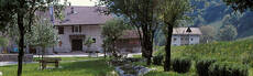 Immagine decorativa