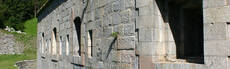 Immagine decorativa