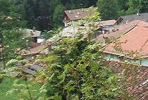 Immagine decorativa