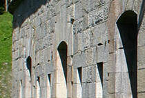 Immagine decorativa