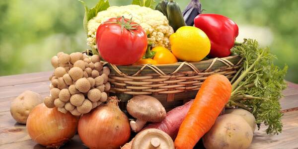 Immagine decorativa per il contenuto Agricoltura